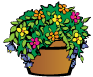 https://coxfarmsva.com/wp-content/uploads/2024/03/flower-pot.png
